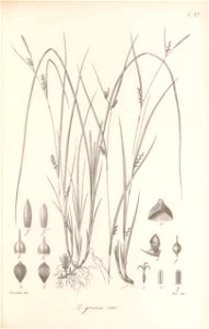 n264_w1150