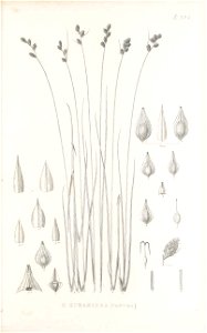 n178_w1150