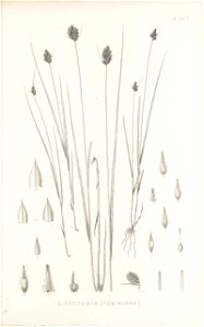n148_w1150