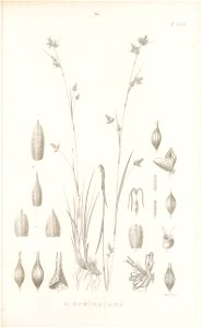 n58_w1150