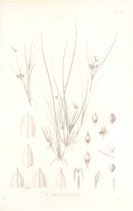 n226_w1150