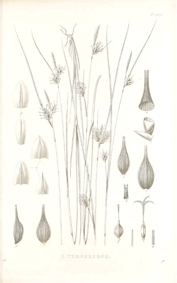 n166_w1150