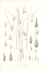 n166_w1150