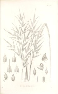 n106_w1150