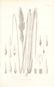 n46_w1150
