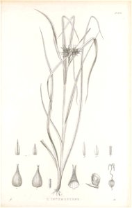 n412_w1150