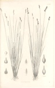 n382_w1150