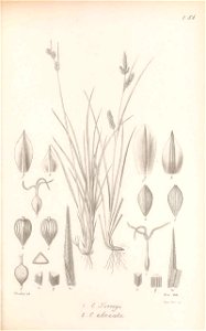 n202_w1150