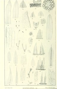n155_w1150
