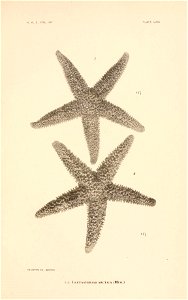 n288_w1150