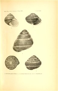 n96_w1150
