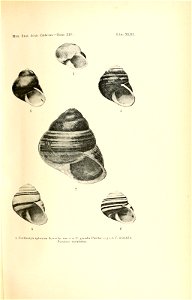 n94_w1150