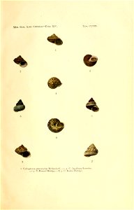 n384_w1150