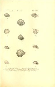 n294_w1150