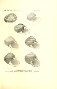 n264_w1150