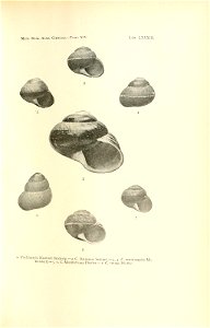 n174_w1150