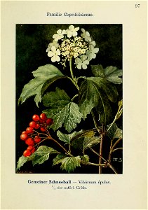 n268_w1150