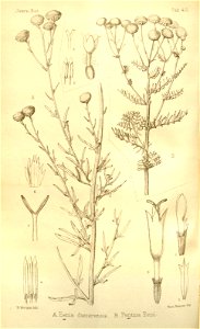 n421_w1150
