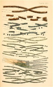 n592_w1150