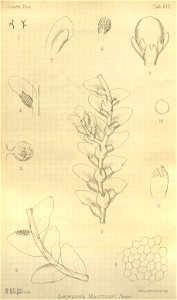 n464_w1150