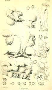 n177_w1150