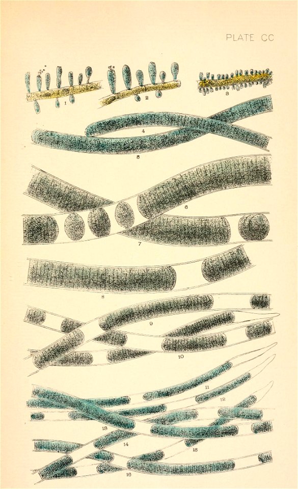 n588_w1150