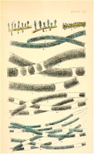 n588_w1150