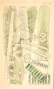 n8_w1150