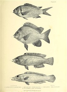 n198_w1150