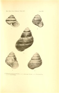 n120_w1150