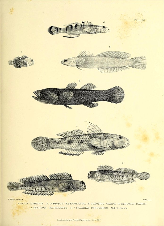 n194_w1150