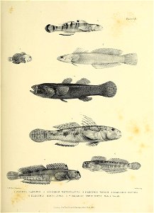 n194_w1150
