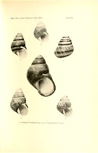 n118_w1150