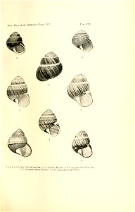 n226_w1150