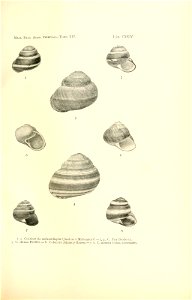 n256_w1150