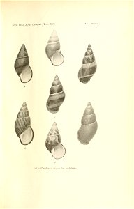 n196_w1150