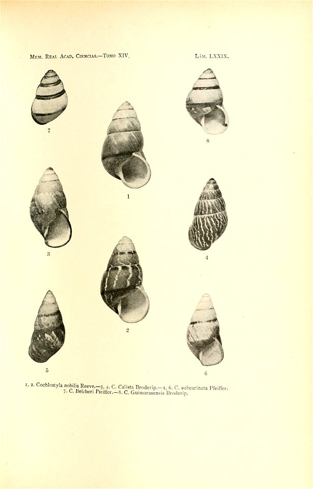 n166_w1150