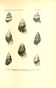 n166_w1150