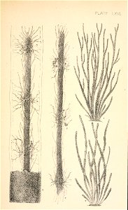 n56_w1150