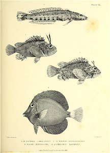 n192_w1150