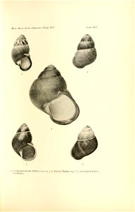 n116_w1150