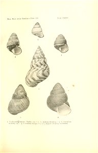 n254_w1150