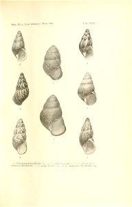 n194_w1150