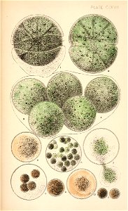n456_w1150