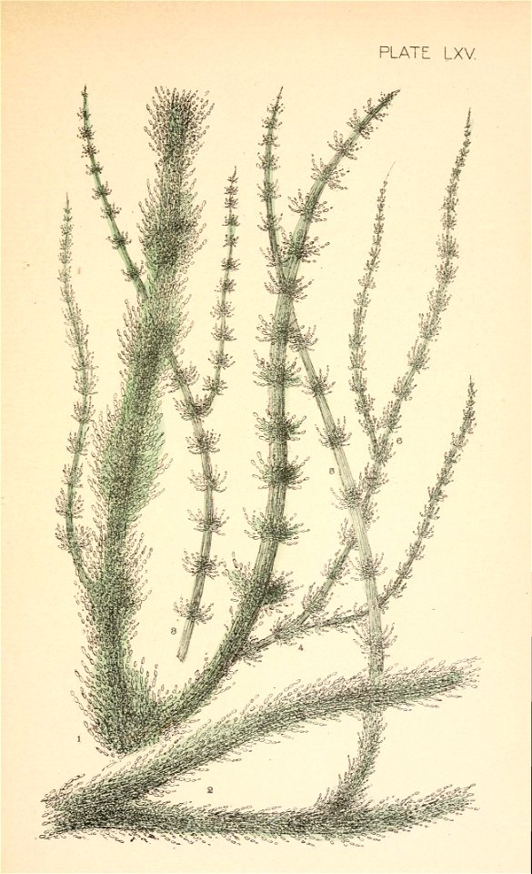 n52_w1150