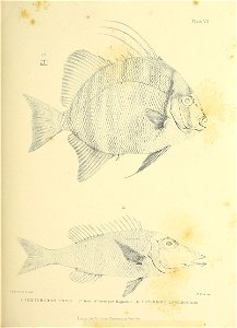 n190_w1150