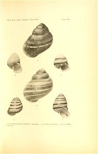 n114_w1150