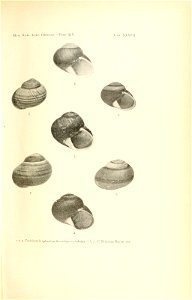 n82_w1150