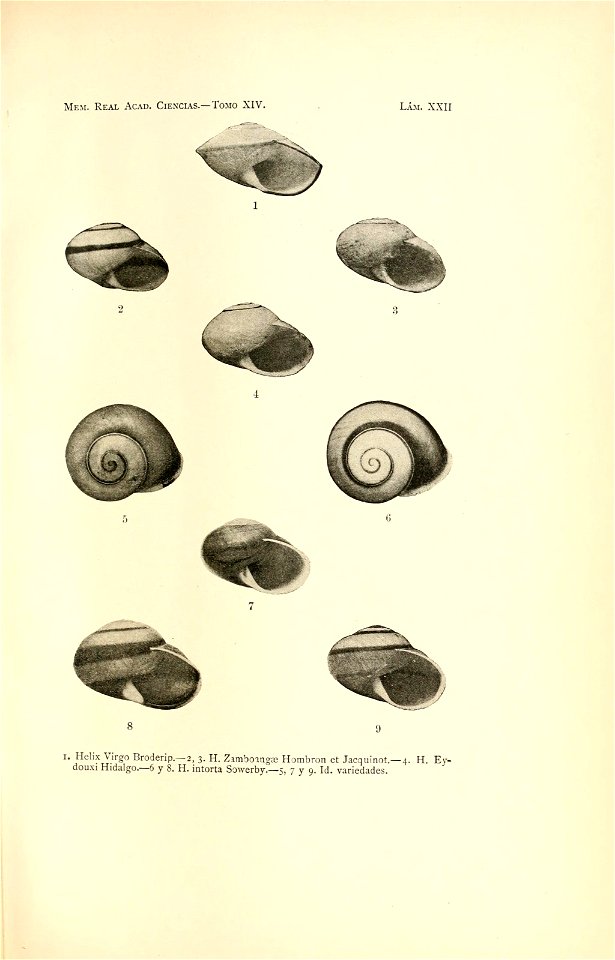 n52_w1150