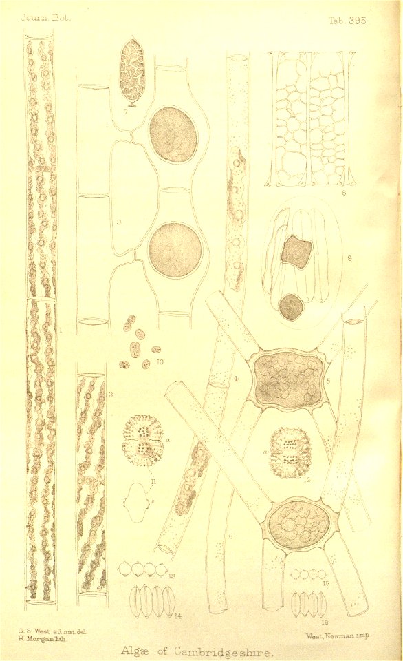 n113_w1150